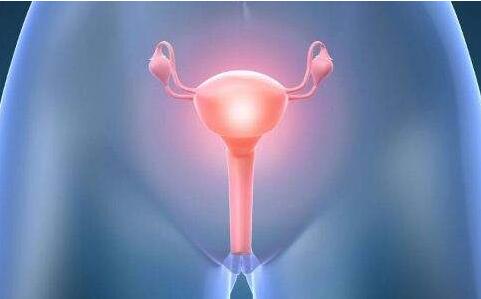 囊胚移植是什么？为您解答囊胚移植的过程！看看怎么说的