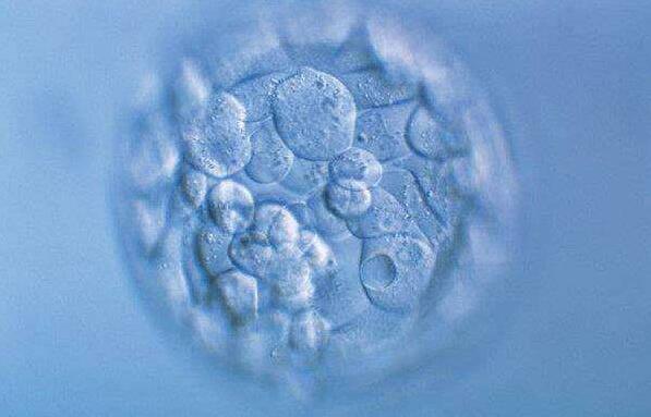 你知道试管胚胎等级与成功率的关联吗？一文读懂两者关系