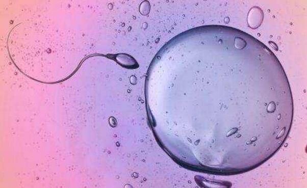 胚胎碎片率的变化对试管婴儿意味着什么
