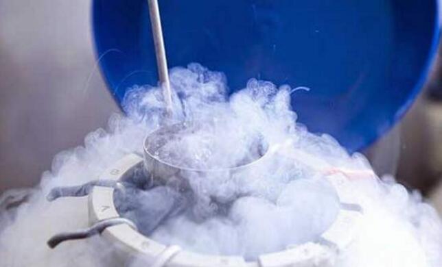 试管婴儿冷冻胚胎有什么优势 冷冻胚胎移植的过程和适应对象有哪些
