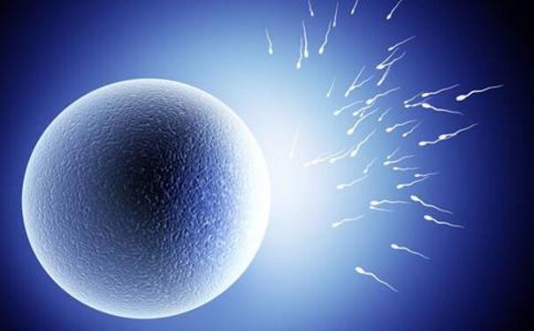 空卵泡做试管婴儿能成功吗？遇到空卵泡怎么办？