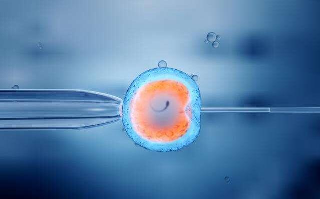 试管婴儿胚胎培养几天移植？囊胚移植成功率高吗