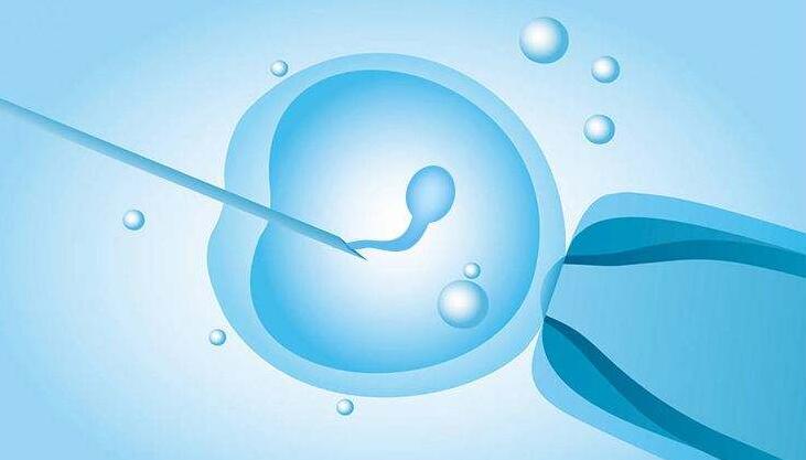 试管婴儿胚胎培养几天移植？囊胚移植成功率高吗