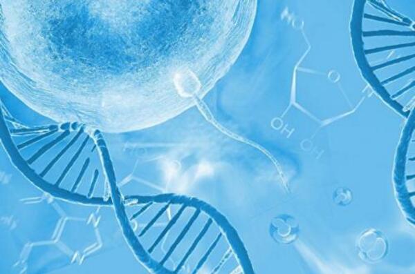 试管婴儿前做精子DNA完整性检查的意义