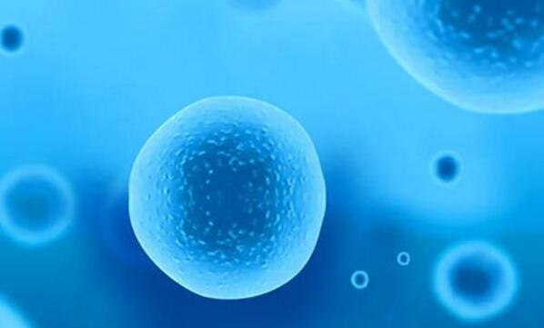 试管婴儿卵泡数、获卵数、胚胎数有什么关系