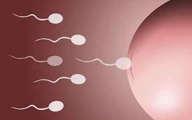 做试管婴儿输卵管积液会不会影响成功率？
