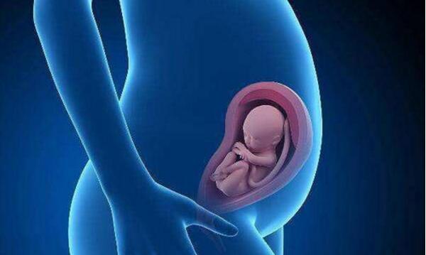 子宫内膜增生还可以做试管婴儿吗？应该怎么做