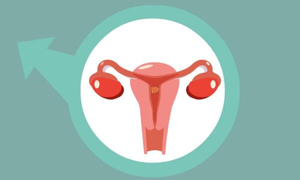 听说做试管可以做有效保养卵巢，是真的吗？看完便知
