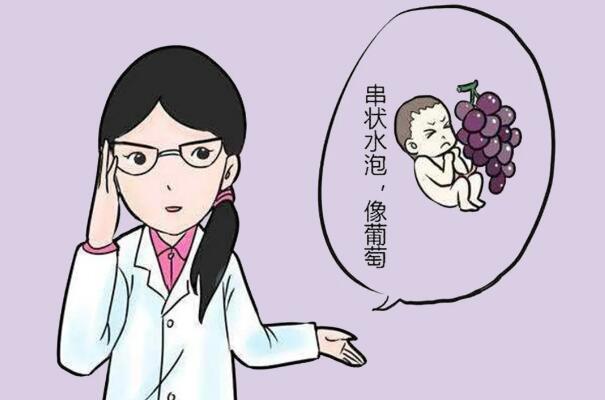做试管婴儿能够杜绝葡萄胎吗？可以怎么做才能避免