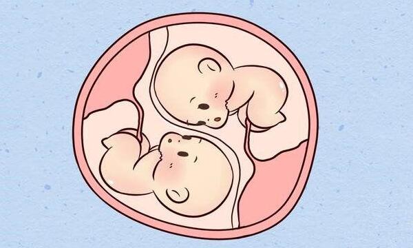 试管婴儿移植单胎还是双胎？一个艰难的决定！你会如何选择