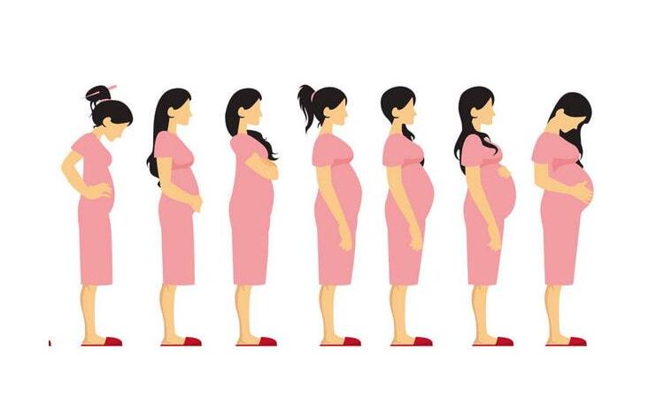 试管宝宝预产期怎么算？“十月怀胎”其实是9个月？提前了解做好准备